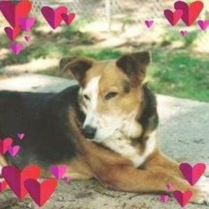 Meet your Posher, Lee ann